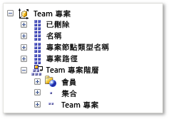 Team 專案維度