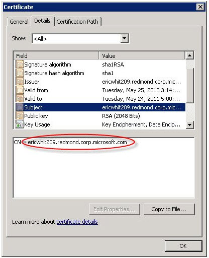 Note the domain name in the subject property