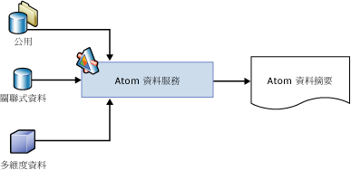 即時資料摘要中的元件與處理序