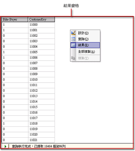 Analysis Services DMX 查詢設計工具，結果檢視