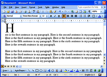 Microsoft Word