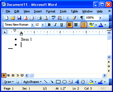 Microsoft Word