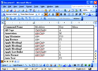 Microsoft Word