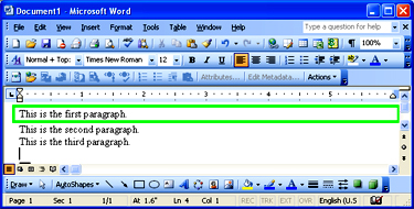 Microsoft Word