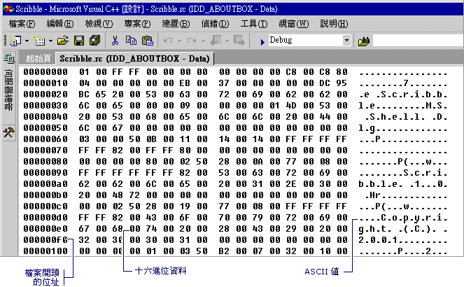 Visual Studio 二進位編輯器