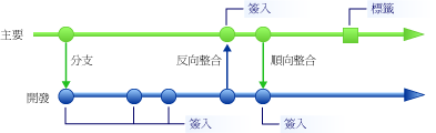 主要分支