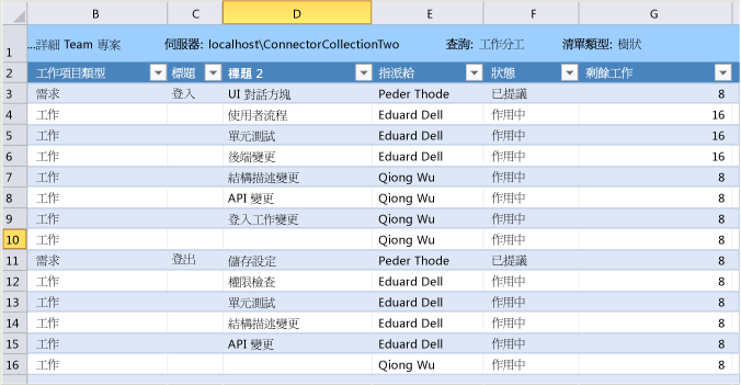 Excel 中顯示的任務工作分工