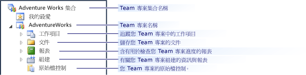 Team 總管節點