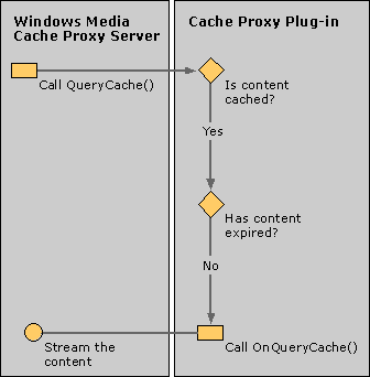 Dd874360.wms8_cacheplugincreate_unexpired_final(en-us,VS.85).gif