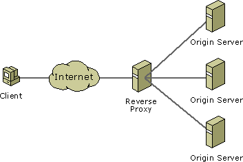 Dd892097.wms8_scenario_revproxy_final(en-us,VS.85).gif