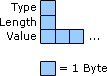 RADIUS Attribute Structure