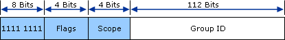 IPv6 Multicast Address