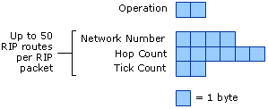 IPX Packet Header Structure for RIPX