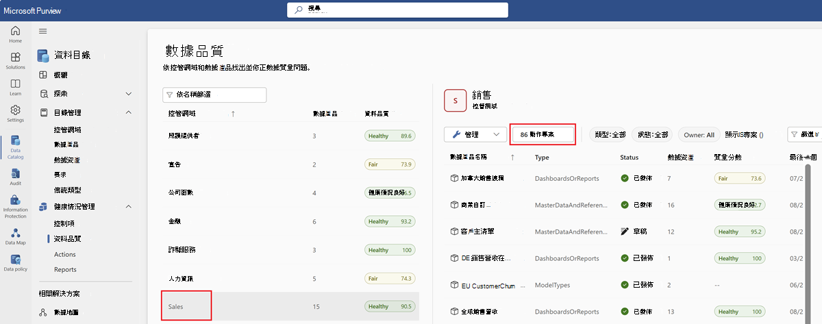 數據品質頁面的螢幕快照，其中已選取治理網域。