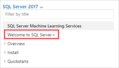 螢幕擷取畫面：顯示可巡覽回 SQL Docs 目錄的選項。