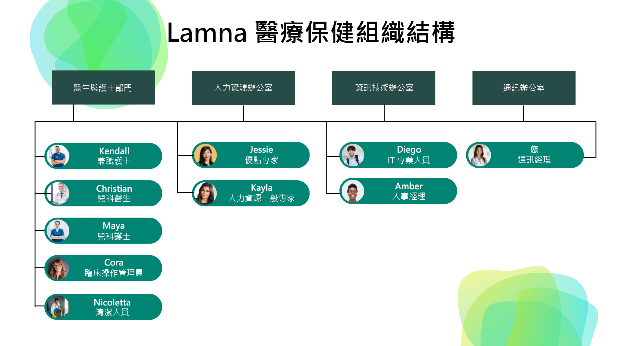 顯示簡化 Lamna Healthcare 組織圖的圖表。