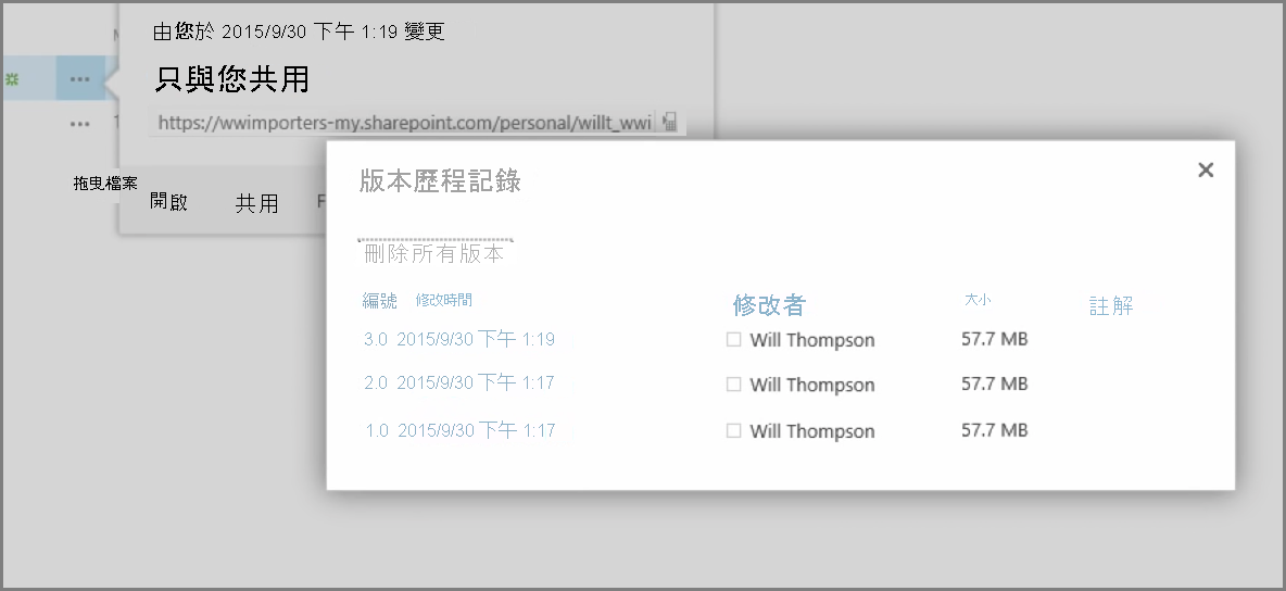 “版本歷史記錄”對話框的屏幕截圖。