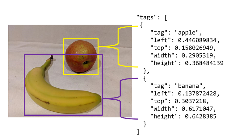 An image with JSON labels for the objects it contains