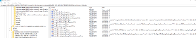 登錄編輯器的螢幕快照，其中顯示 MDM 代理程式所設定的 BitLocker 原則設定