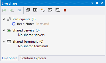 Screenshot that shows the Visual Studio Live Share tool window showing a participant.