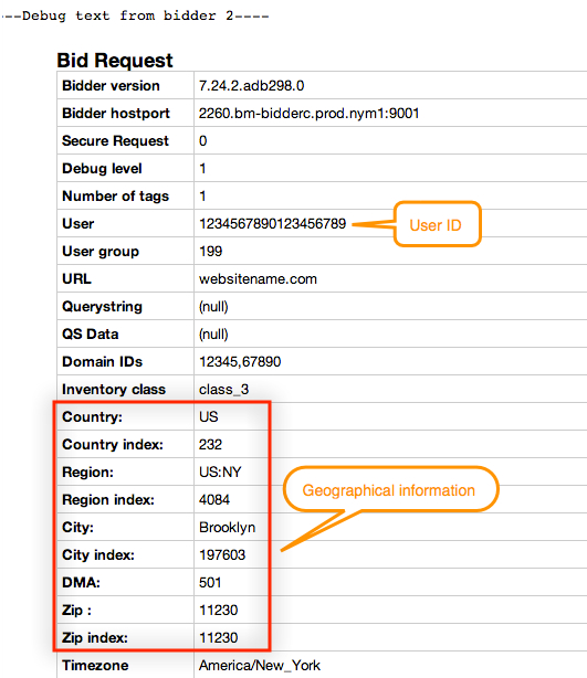 Screenshot of user ID and geographical information from a sample bidder debug text.